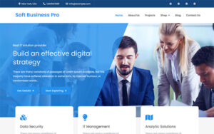 Шаблон Wordpress Soft Business Pro - Clean and Modern WordPress Business Theme Theme WordPress