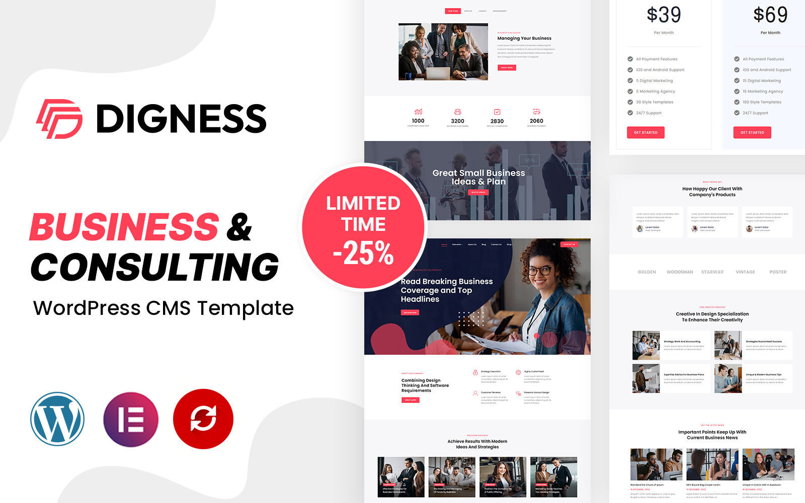 Шаблон Wordpress Digness - Consulting Business Theme WordPress