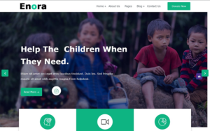 Шаблон Wordpress Enora - Charity and Nonprofit Theme WordPress
