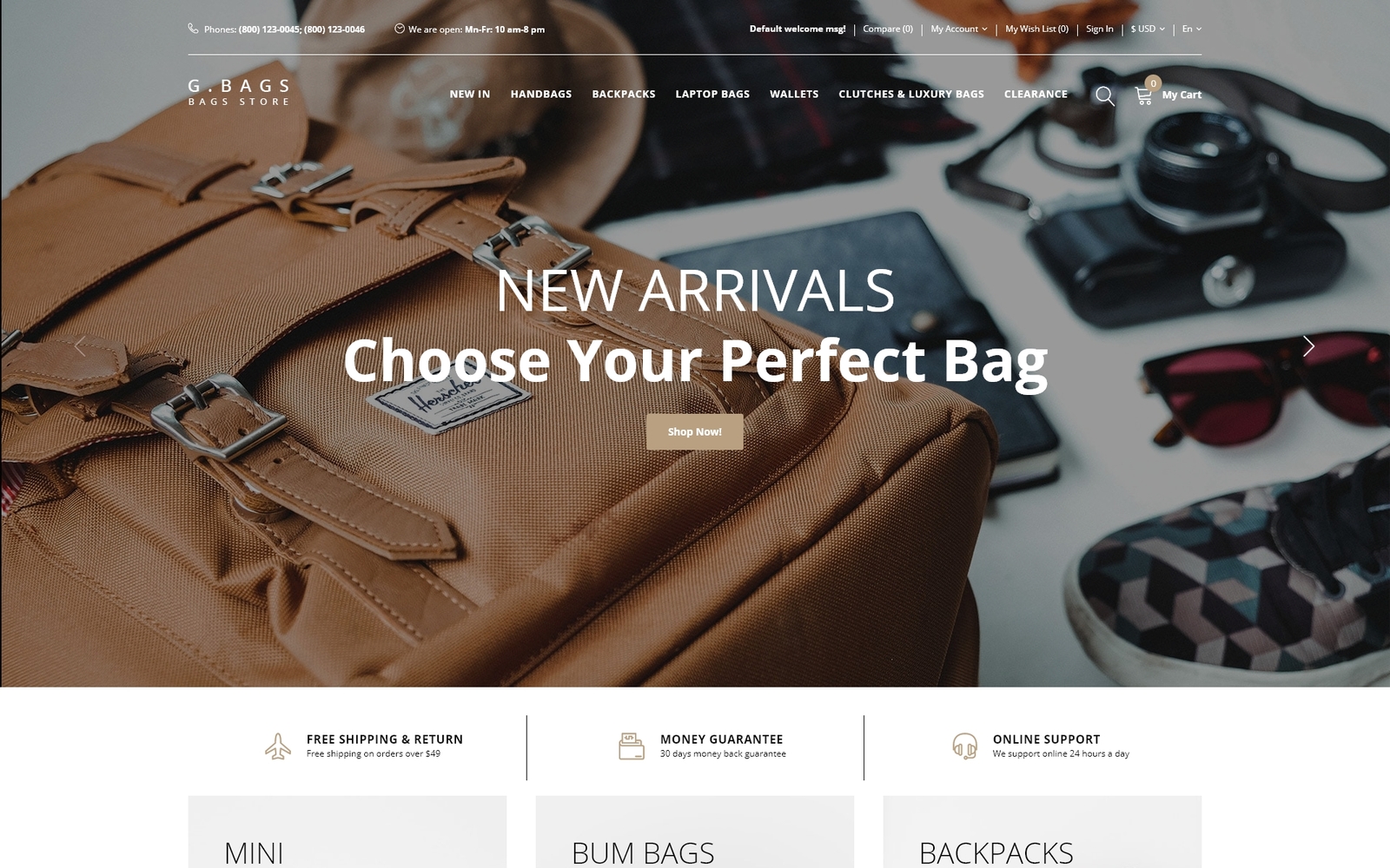 Шаблон OpenCart  G. Bags - Handbag Clean 