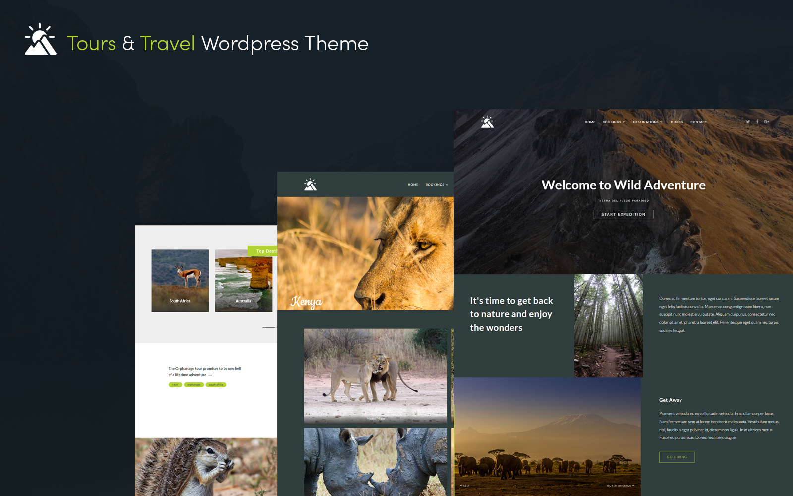Шаблон Wordpress Gravity Traveler Wordpress Theme Theme WordPress
