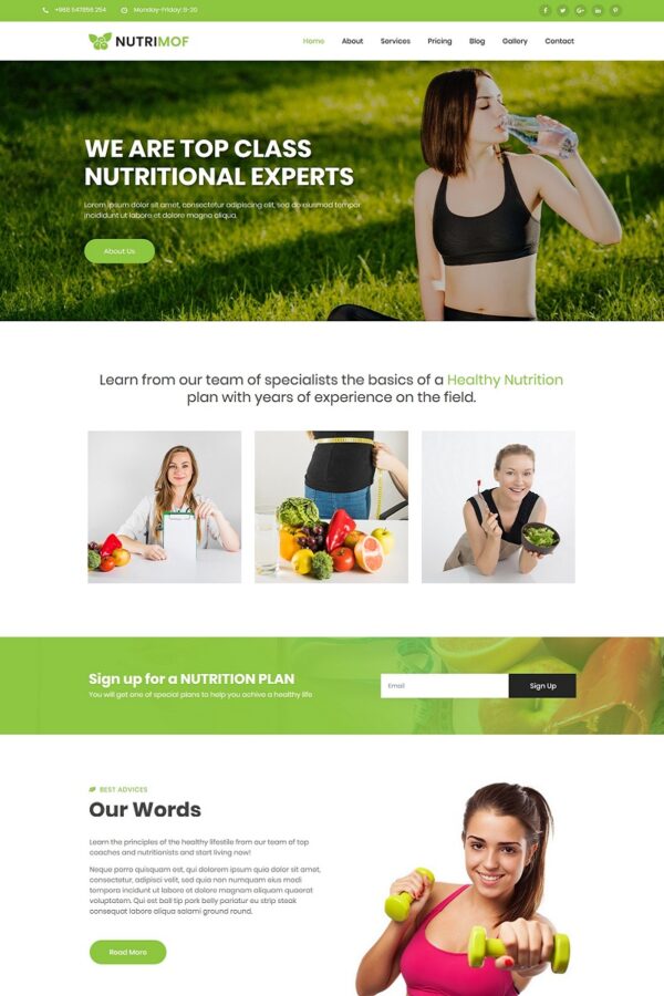 Шаблон Wordpress Nutrimof - Nutritional & Health Theme WordPress