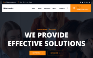 TishConsult2 - Business and Consulting Theme WordPress