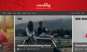 Шаблон WordPress VeenBlog - Personal Blog Theme WordPress