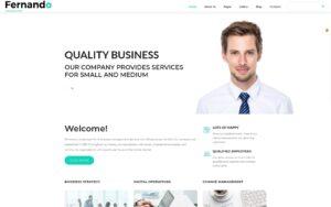 Шаблон Joomla Fernando - Consulting Ready-to-Use Modern Joomla Template