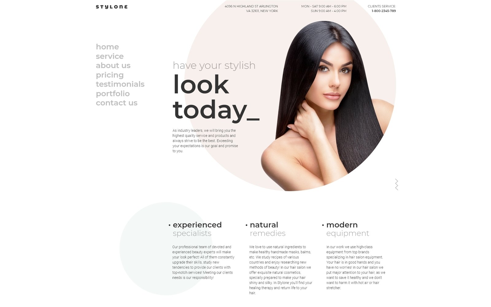 Stylone - Beauty Hair Salon WordPress Elementor Theme WordPress Theme Stylone - Beauty Hair Salon WordPress Elementor Theme WordPress Theme