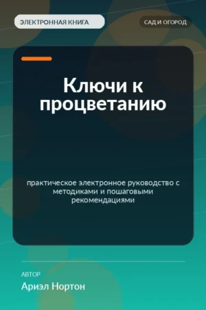 Ключи к процветанию — практическое электронное руководство с методиками и пошаговыми рекомендациями Ключи к процветанию — практическое электронное руководство с методиками и пошаговыми рекомендациями